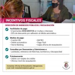fiscales